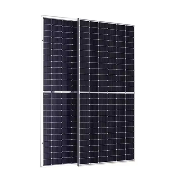 Panel Solar Bifacial